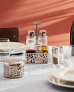 Alessi Condiment Set, Cactus!